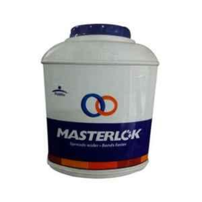 PIDILITE MASTERLOK 2KG