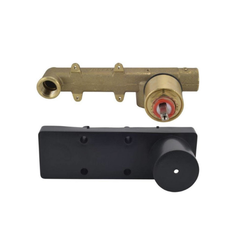 CONCEALED BODY FOR SINGLE LEVER BASIN MIXER WALL MOUNTED