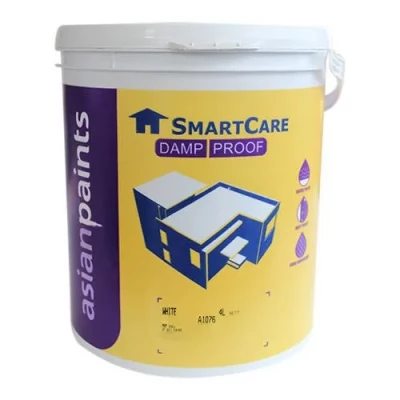 ASIAN PAINTS DAMP PROOF 10L (White)