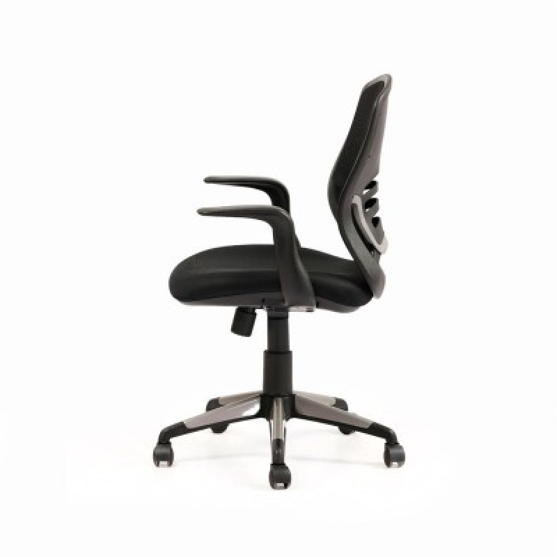 LOW BACK CHAIR OCL 019 (BLACK)
