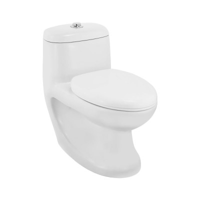 Essco Single Piece WC