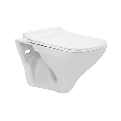 Wall Hung WC Essco